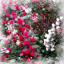 ���� ��������, ������������, 60 ��� - ��������� 2 ������� 2025 � ������ ���� ����������