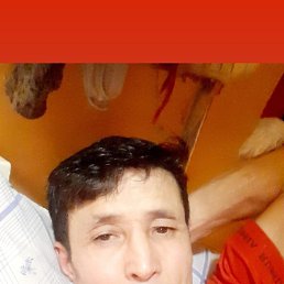 , 49 , 