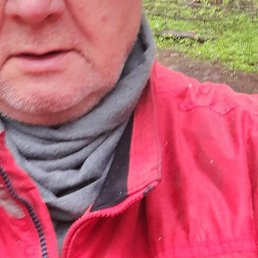 �����, �����, 66 ���