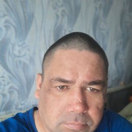 ���� �����, ���������, 42 ���� - ��������� 2 ���� 2026