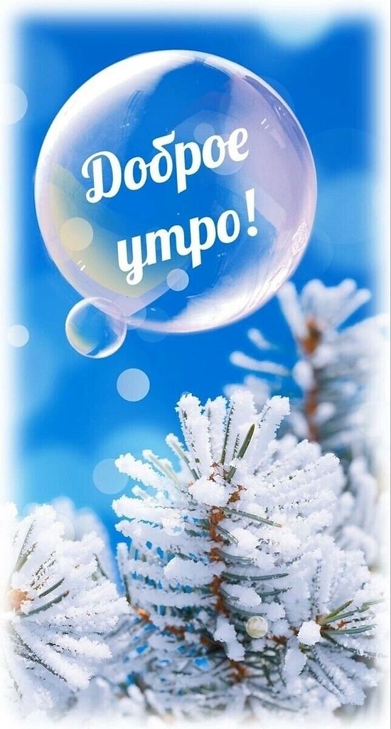   - 6  2024  07:39