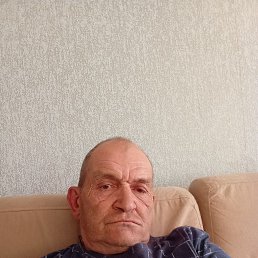 , 61, 
