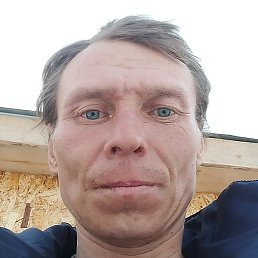 ������, ��������, 40 ���