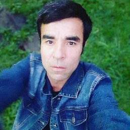 , 37, 