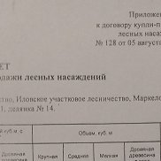 ����, 18 ���, �������