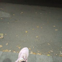 �, �������, 37 ���