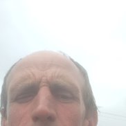 , 44 , 