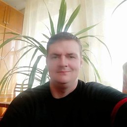 , 43, 
