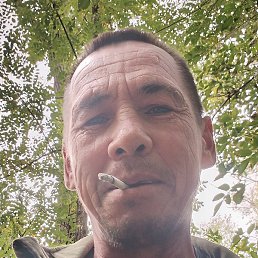 ������, �����-���������, 48 ���