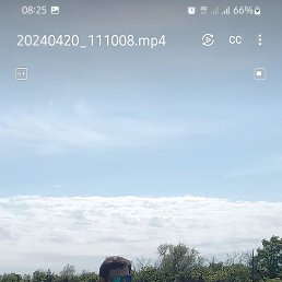 , 42, 