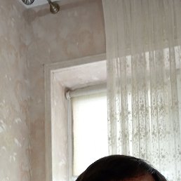 ����, 52 ����, ���������