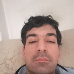 ���� ����, �����-���������, 40 ��� - ��������� 11 ������� 2023