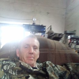 , 41, 