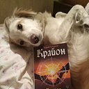  Lubomir_ss,  -  23  2024   ...)