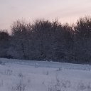 ���� ������� ������, ������, 37 ��� - ��������� 14 ������ 2026 � ������ ���� ����������