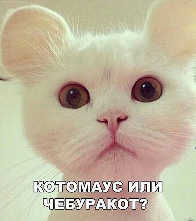 ? ,  ! - 23  2025  22:23