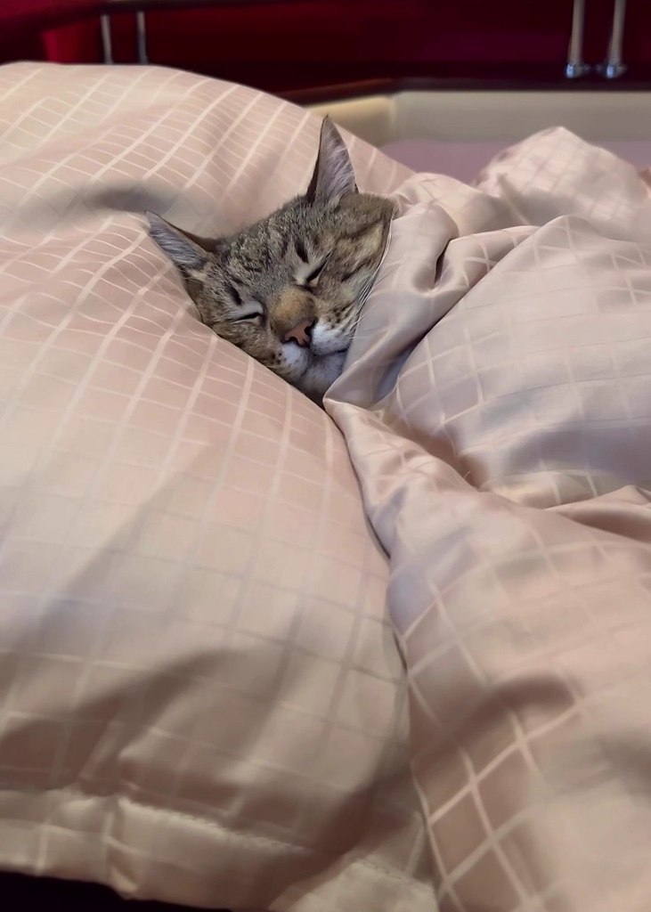 � ��� ������� �� ������ ��� �������