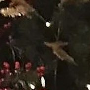 , 34 , 