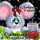 ���� ������, ������, 44 ���� - ��������� 15 ����� 2024 � ������ ���� ����������