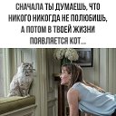 ���� ����, ��������, 63 ���� - ��������� 14 ������� 2026 � ������ ������ ��������