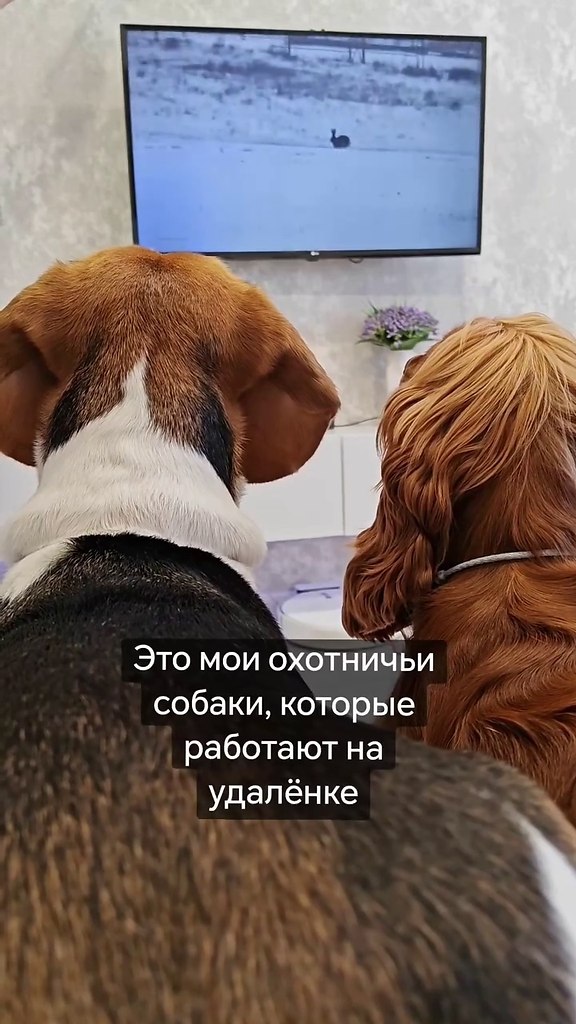 ������ ������������ ����. - 2