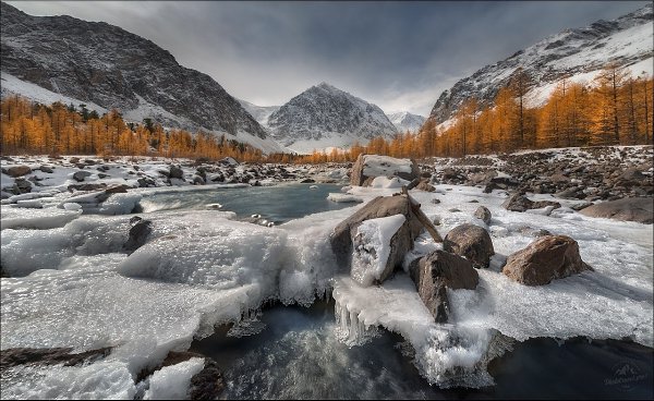 Дoлинa peки Актpу. Алтaй.oтo: лaд Сoкoлoвcкий