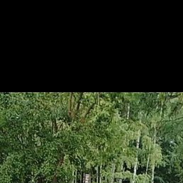 , 64, 