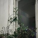���� ����, ����, 31 ��� - ��������� 21 ������ 2025 � ������ ������ ���������� ����ۻ