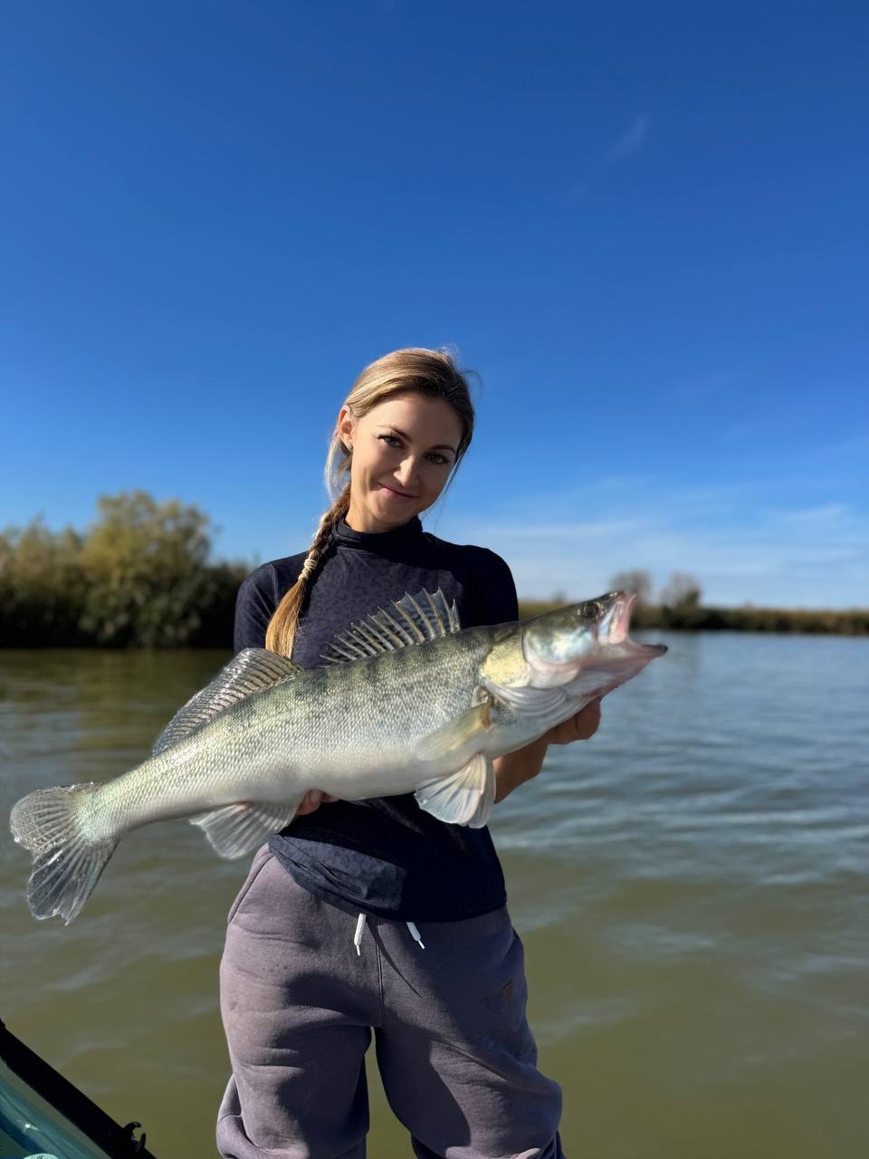      2025 !  - !  , ,  ...