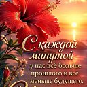 ���� ���, �����, 54 ���� - ��������� 17 ���� 2026