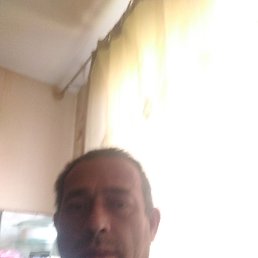 , 41, 