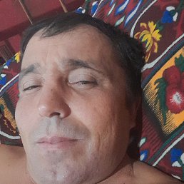 , 37, 