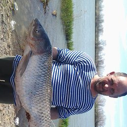 ����, ������, 50 ���