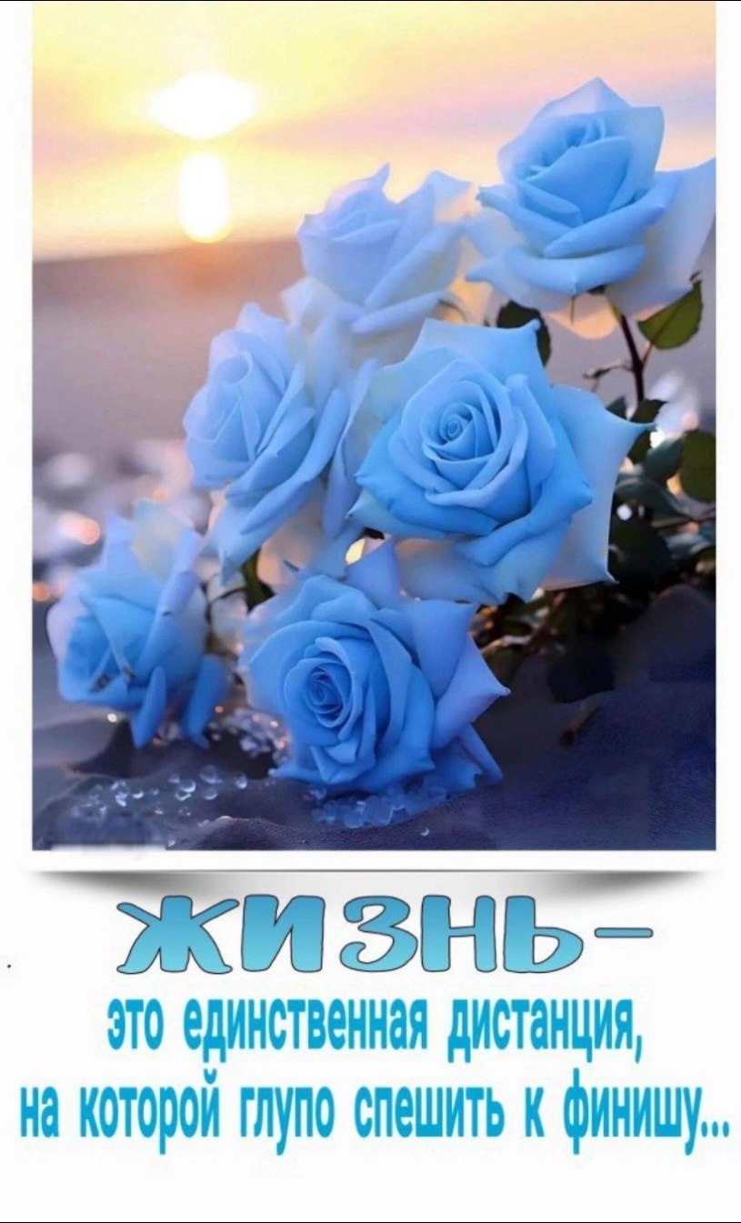 �������� ( �� �������� ��) - 23 ����� 2025 � 20:30