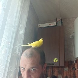 , , 40 
