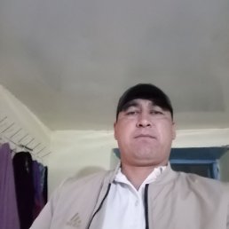 , 37, 