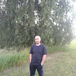 ���� �������, ���������, 44 ���� - ��������� 20 ������ 2024