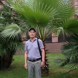 , 63,  