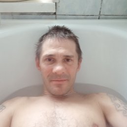  , 41 , 