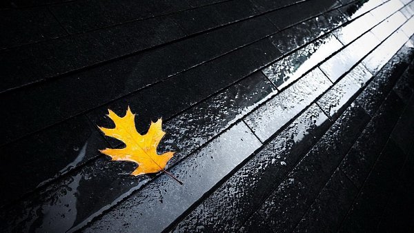 Иногда полезно помолчать, чтобы тебя услышали. И исчезнуть, чтобы тебя заметили.