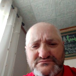 , 44, 