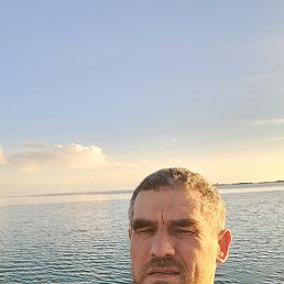, 45, 