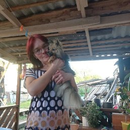 ���� �������, �����, 48 ��� - ��������� 24 ������� 2023