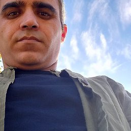 ����, ���������, 41 ���