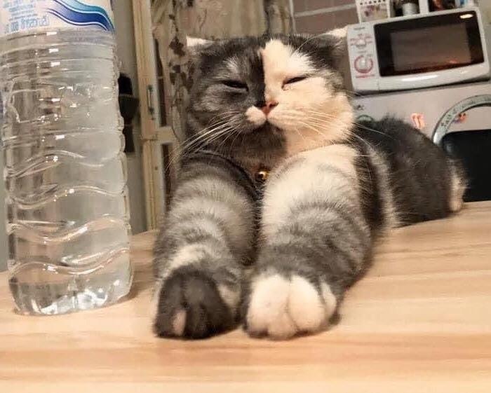        =>