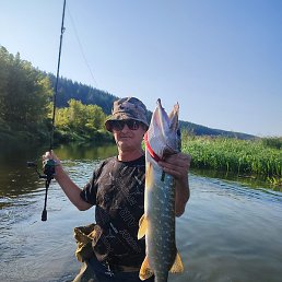 ����, ������, 55 ���