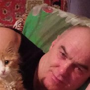 , 53 , 