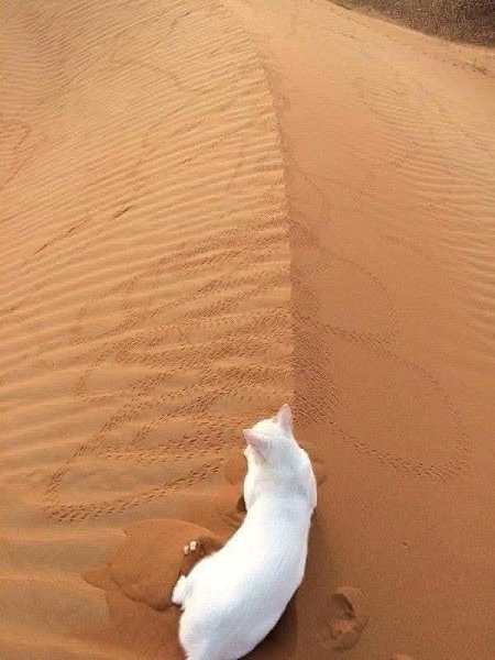����� � �� �������� ����� - 3