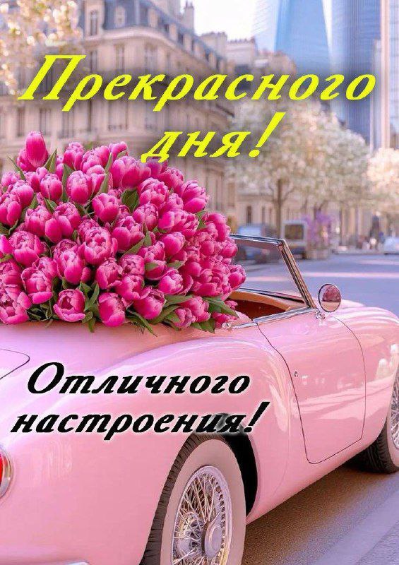   ,    . - 25  2025  15:47 - 2