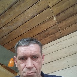 , 55 , -